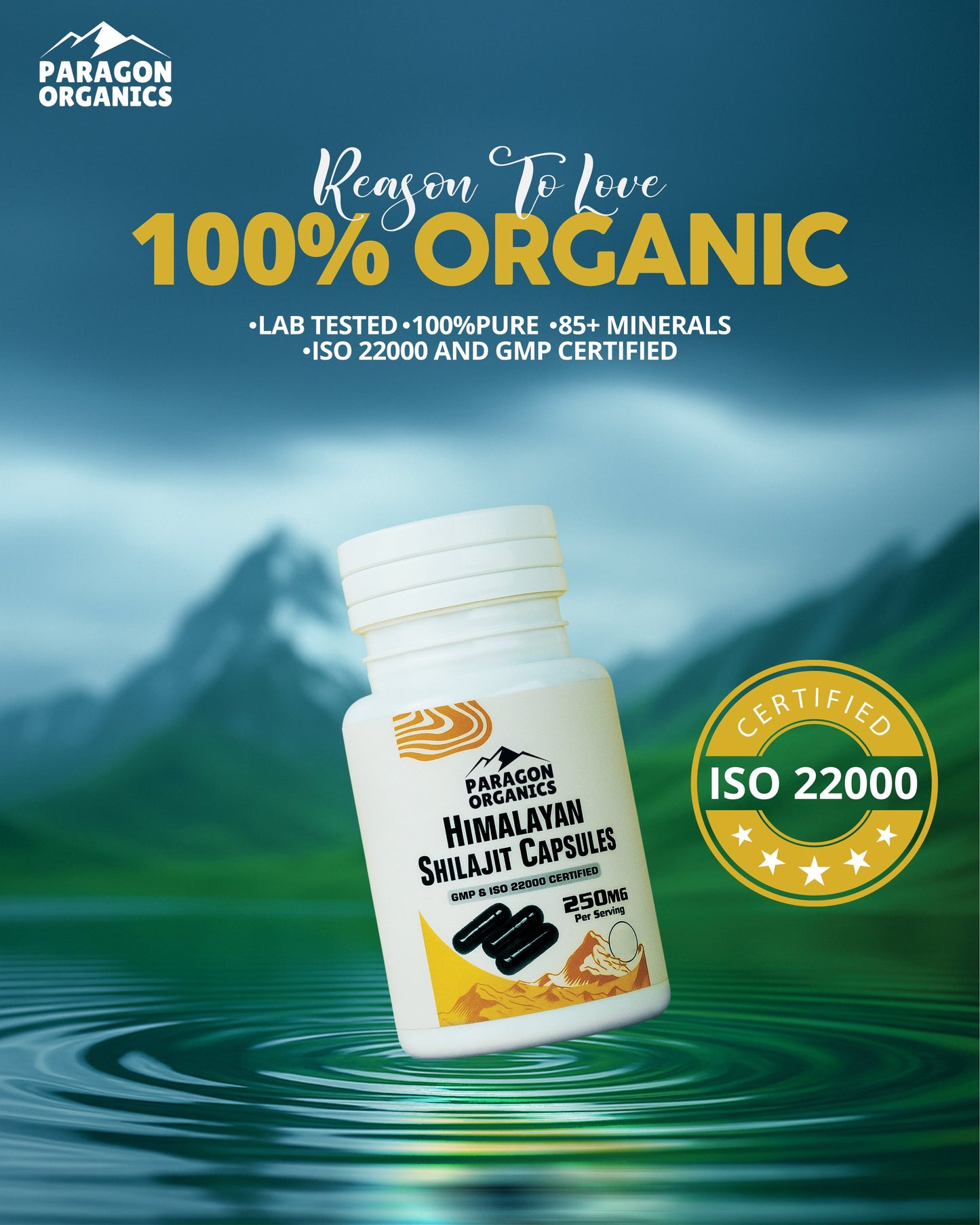 Himalayan Shilajit Capsules ( 90 Capsules )