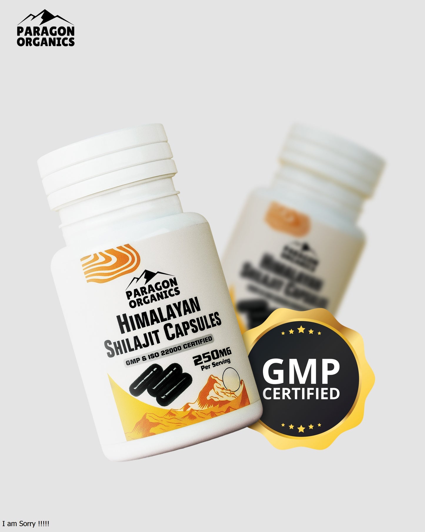 Himalayan Shilajit Capsules ( 90 Capsules )