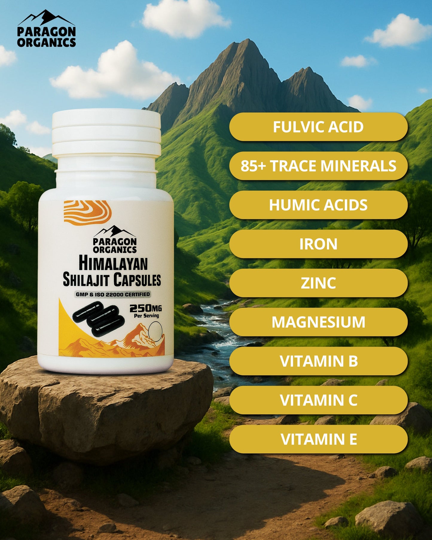 Himalayan Shilajit Capsules ( 90 Capsules )