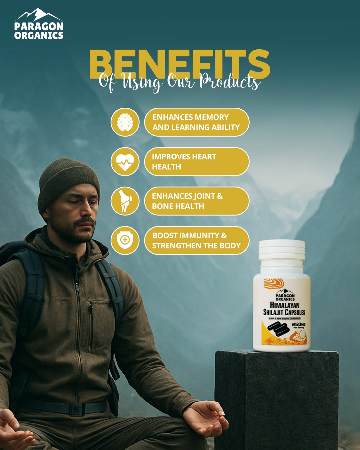 Himalayan Shilajit Capsules ( 90 Capsules )
